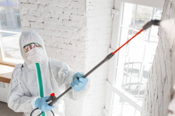 Best Mold Remediation for Healthcare Facilities  in Mission Hills, KS